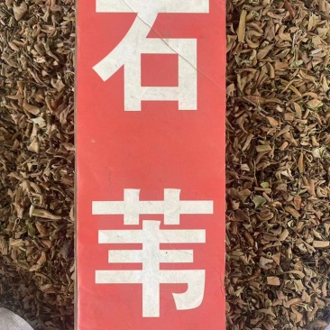 石伟中药材批发小叶石苇石背柳当季新货石伟粉代客磨粉