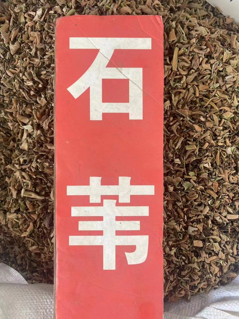 石伟中药材批发小叶石苇石背柳当季新货石伟粉代客磨粉