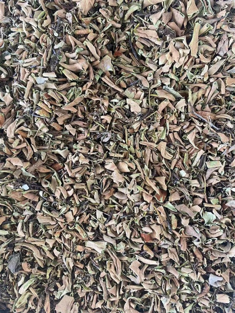 石伟中药材批发小叶石苇石背柳当季新货石伟粉代客磨粉