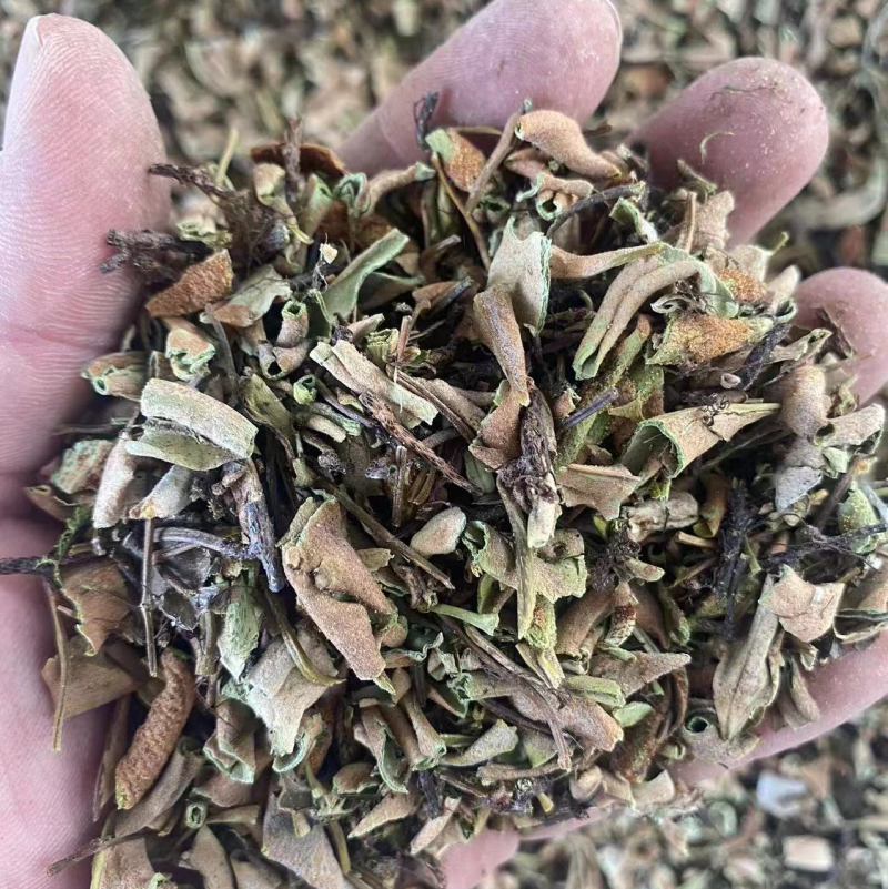 石伟中药材批发小叶石苇石背柳当季新货石伟粉代客磨粉