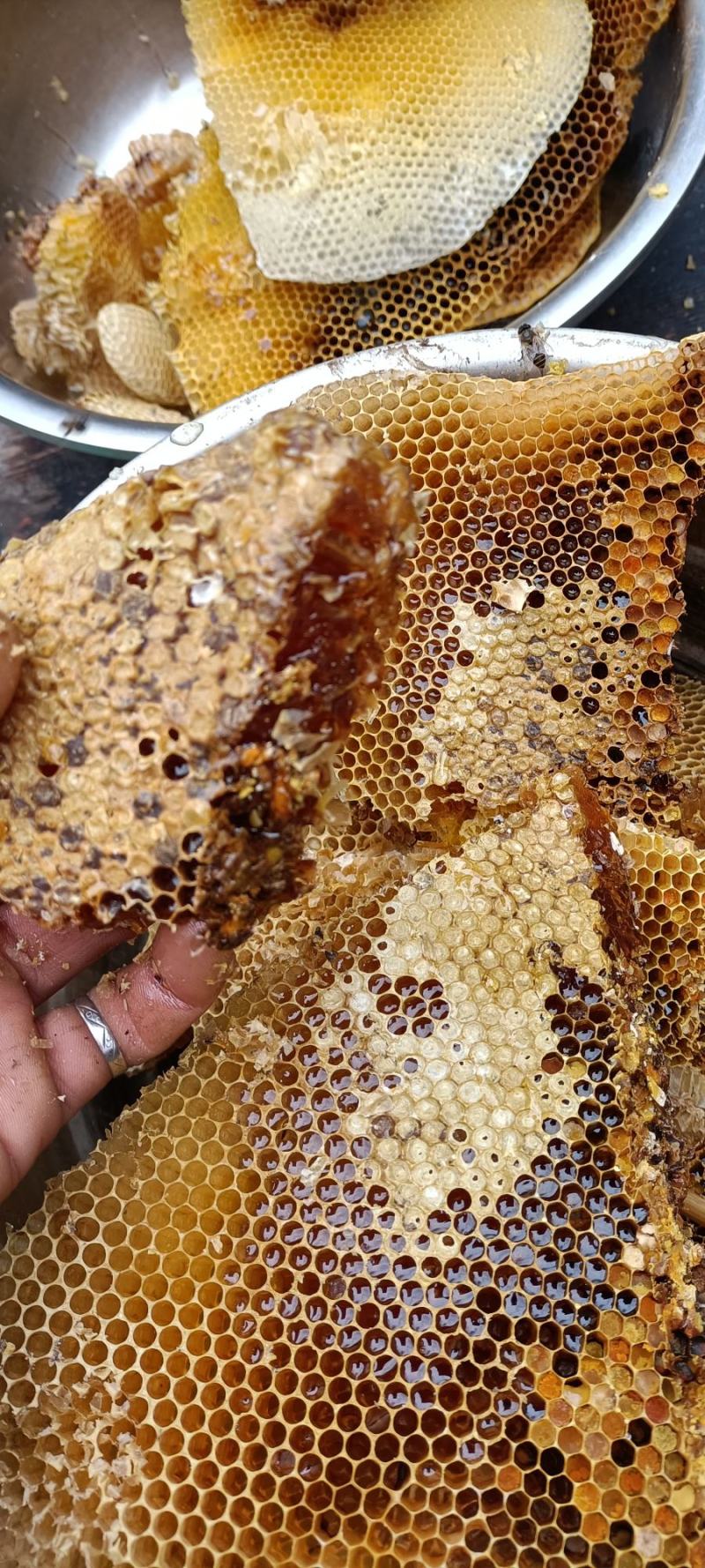 天然绿色高山蜂糖，蜂蜜