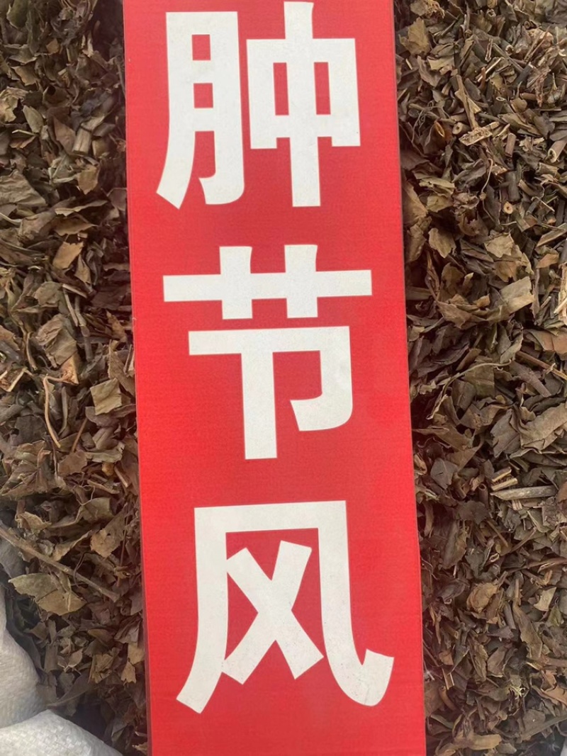 肿节风野生中药材九节风九节茶接骨莲肿节风粉代客磨粉