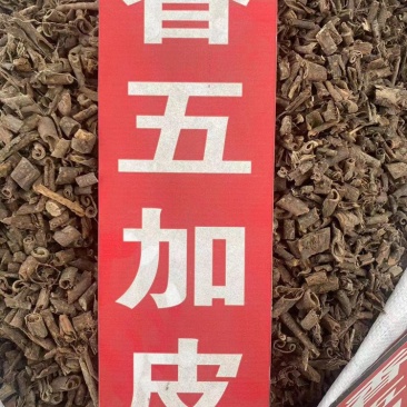 香五加皮中药材批发北五加皮香料去腥香五加皮粉代客磨粉