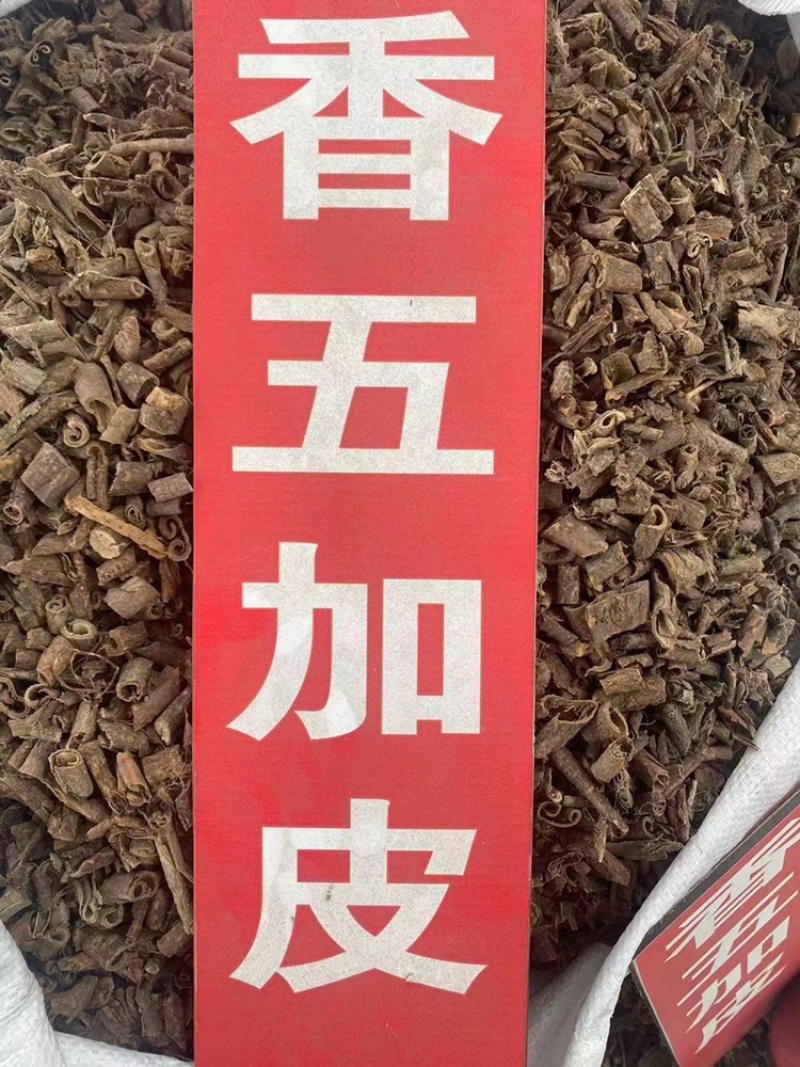 香五加皮中药材批发北五加皮香料去腥香五加皮粉代客磨粉
