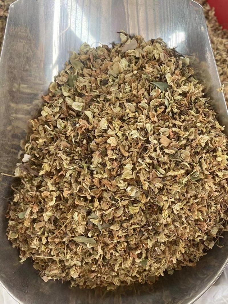 槐花中药材批发杨槐树花干净无杂质当季新货槐花干货