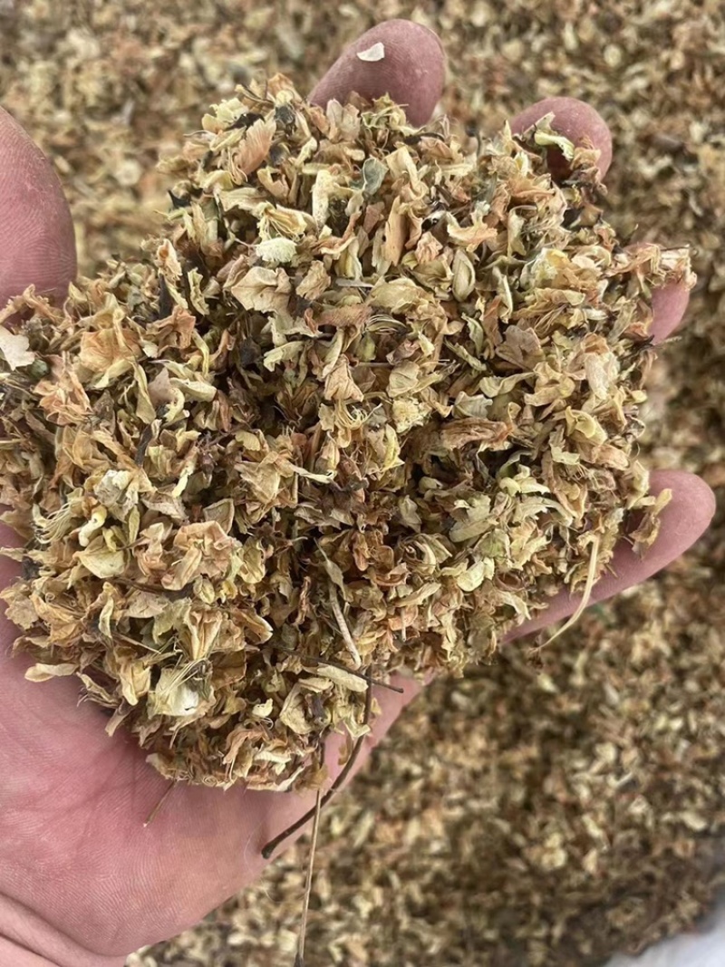 槐花中药材批发杨槐树花干净无杂质当季新货槐花干货