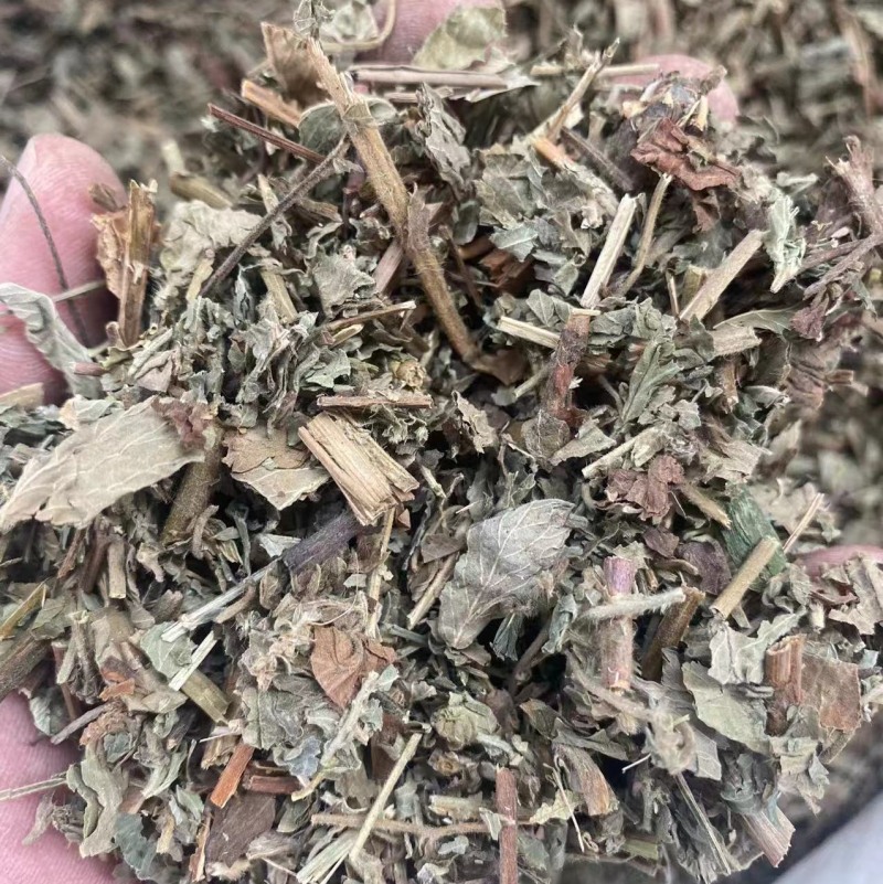 仙鹤草中药材批发龙牙草狼牙草脱力草仙鹤草粉代客磨粉