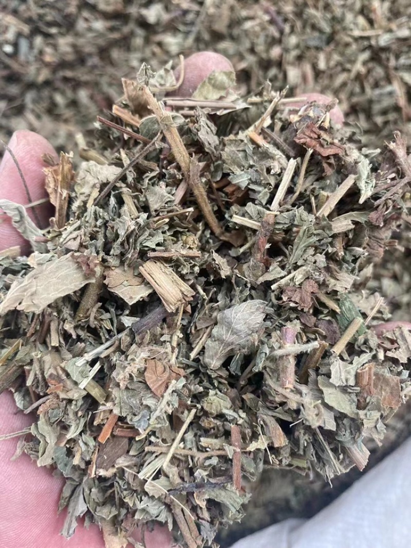 仙鹤草中药材批发龙牙草狼牙草脱力草仙鹤草粉代客磨粉