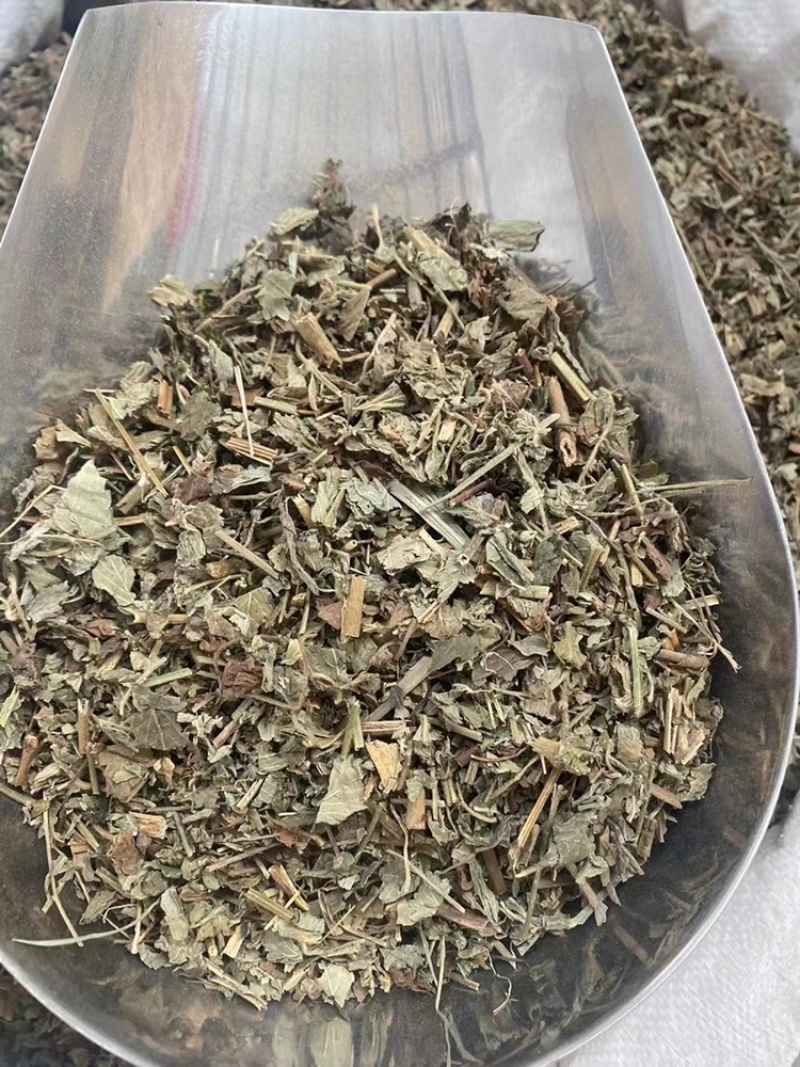 仙鹤草中药材批发龙牙草狼牙草脱力草仙鹤草粉代客磨粉