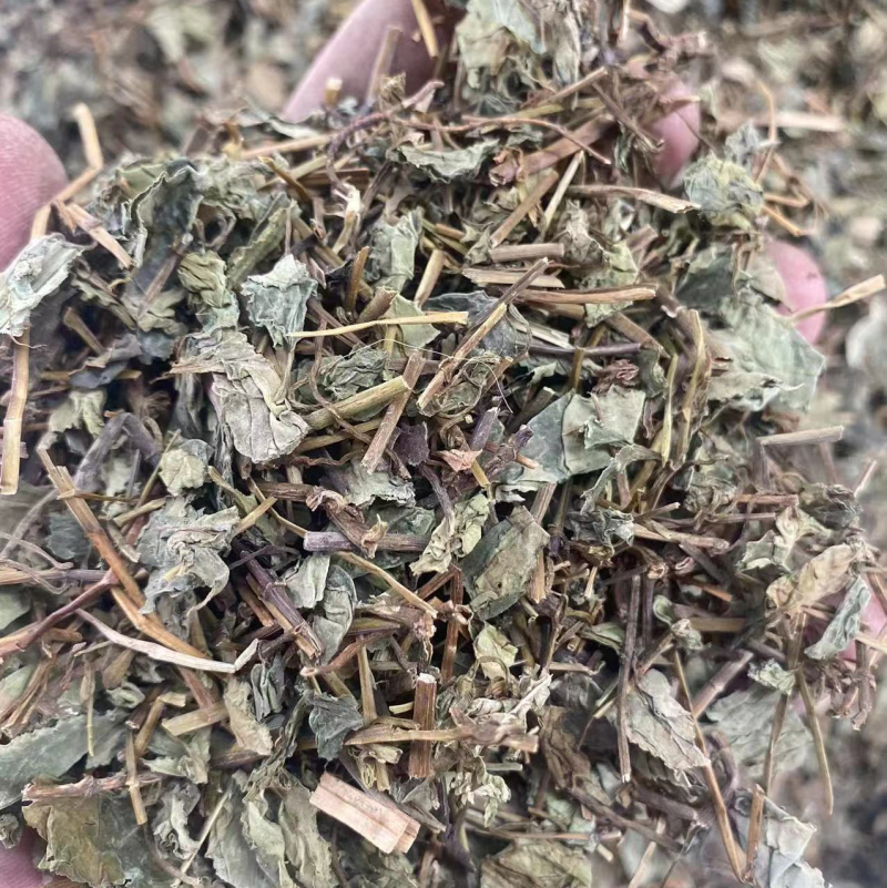 肺形草中药材批发血见愁双蝴蝶蝴蝶草肺形草粉代客磨粉