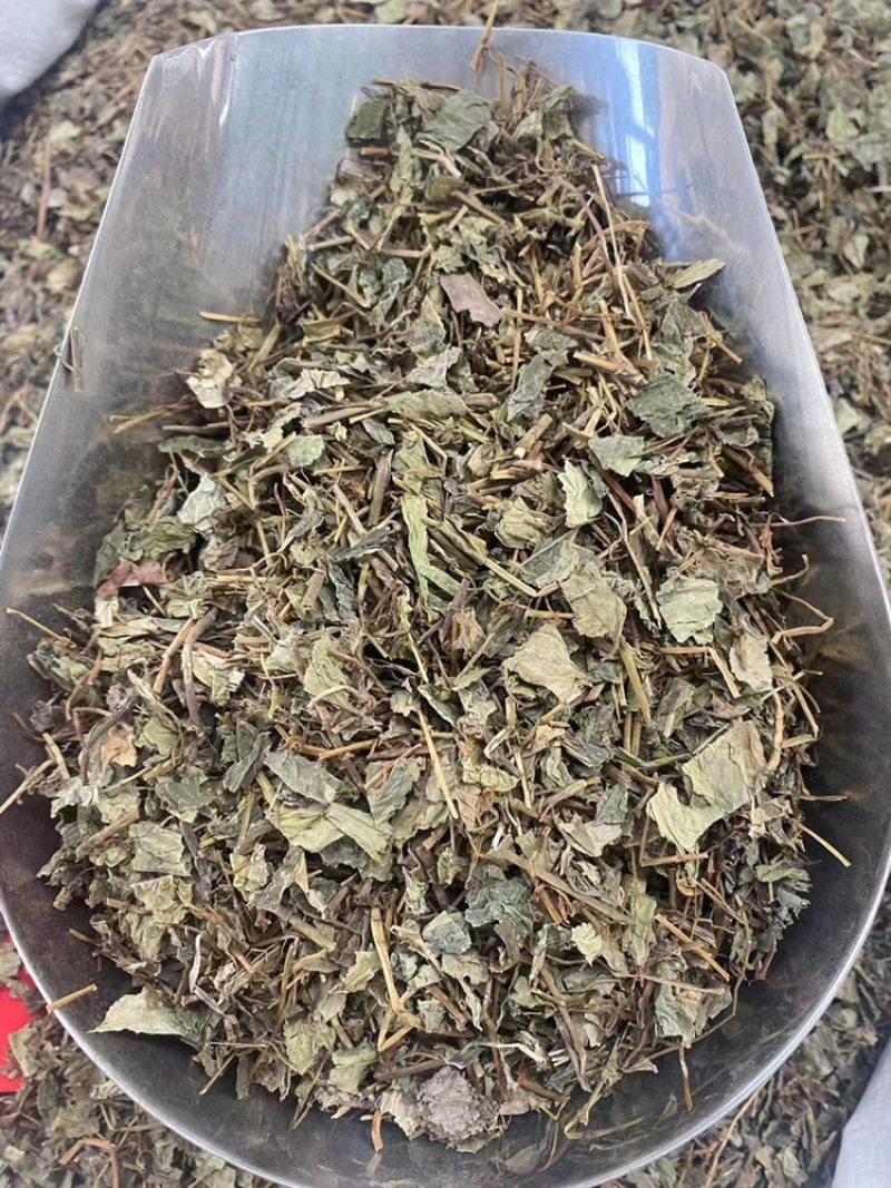 肺形草中药材批发血见愁双蝴蝶蝴蝶草肺形草粉代客磨粉