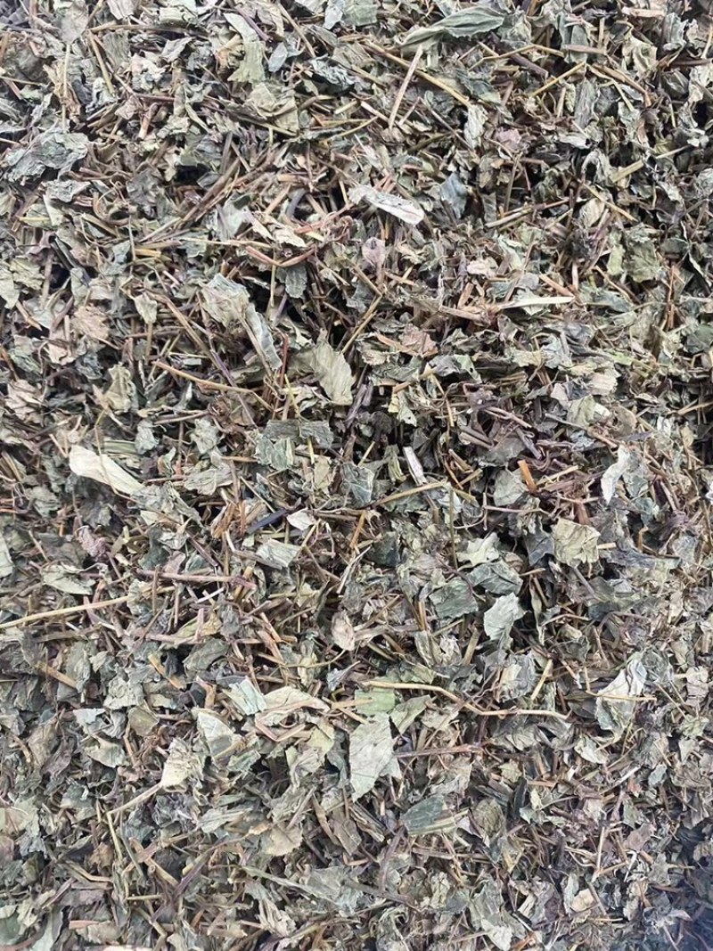 肺形草中药材批发血见愁双蝴蝶蝴蝶草肺形草粉代客磨粉