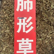 肺形草中药材批发血见愁双蝴蝶蝴蝶草肺形草粉代客磨粉