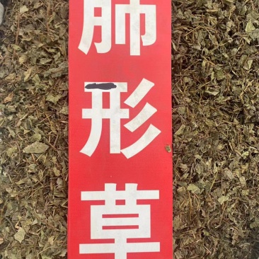 肺形草中药材批发血见愁双蝴蝶蝴蝶草肺形草粉代客磨粉