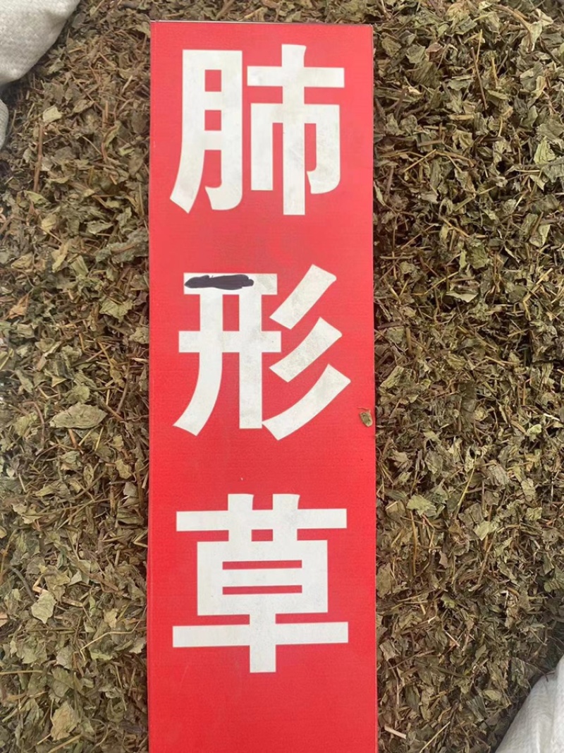 肺形草中药材批发血见愁双蝴蝶蝴蝶草肺形草粉代客磨粉