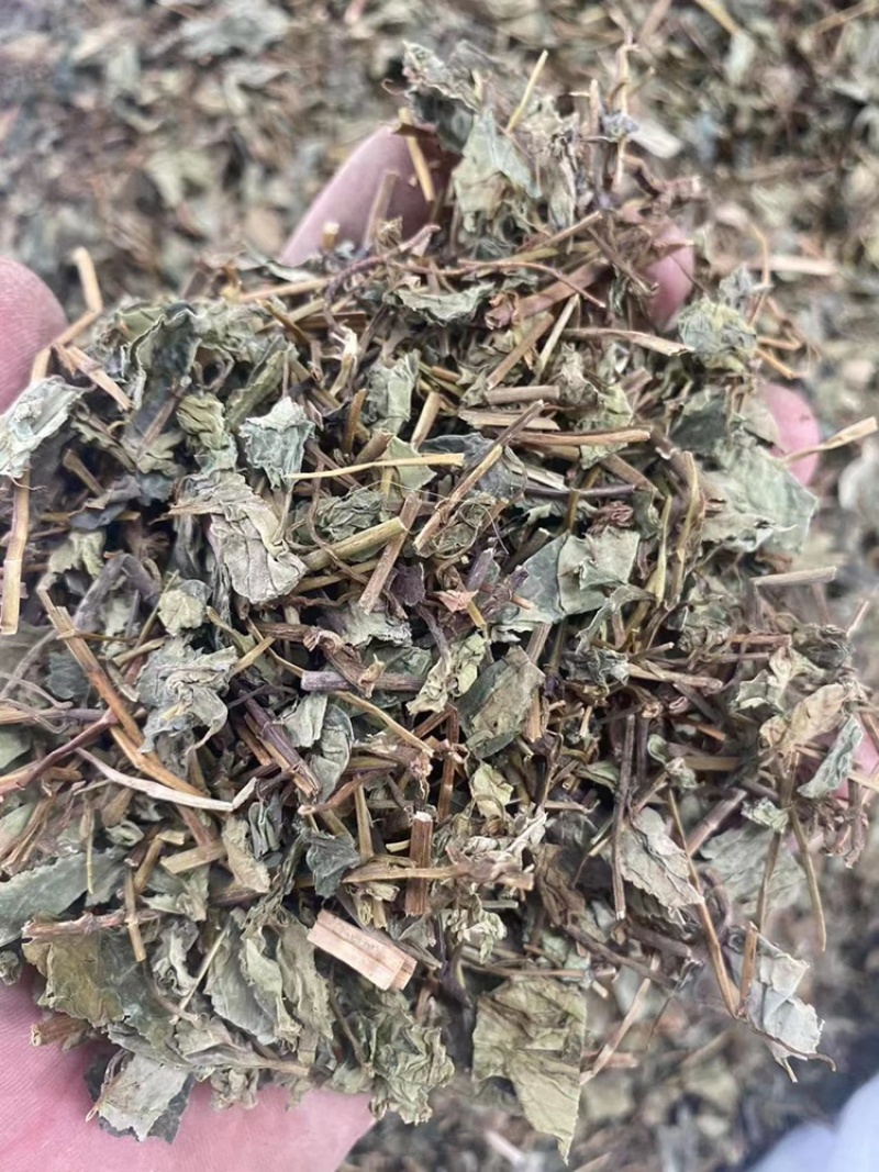 肺形草中药材批发血见愁双蝴蝶蝴蝶草肺形草粉代客磨粉
