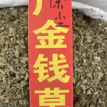 正宗广西金钱草大叶金钱草化石草广金钱草粉免费代客磨粉