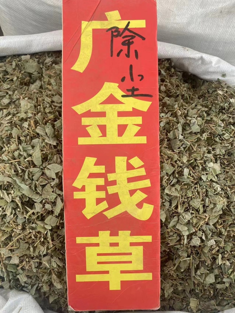 正宗广西金钱草大叶金钱草化石草广金钱草粉免费代客磨粉