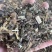 溪黄草中药材批发风血草黄汁草溪沟草溪黄草粉代客磨粉
