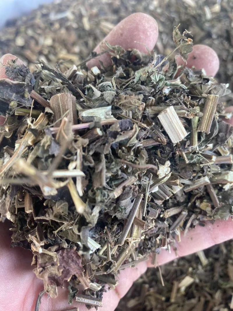 溪黄草中药材批发风血草黄汁草溪沟草溪黄草粉代客磨粉