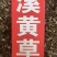 溪黄草中药材批发风血草黄汁草溪沟草溪黄草粉代客磨粉