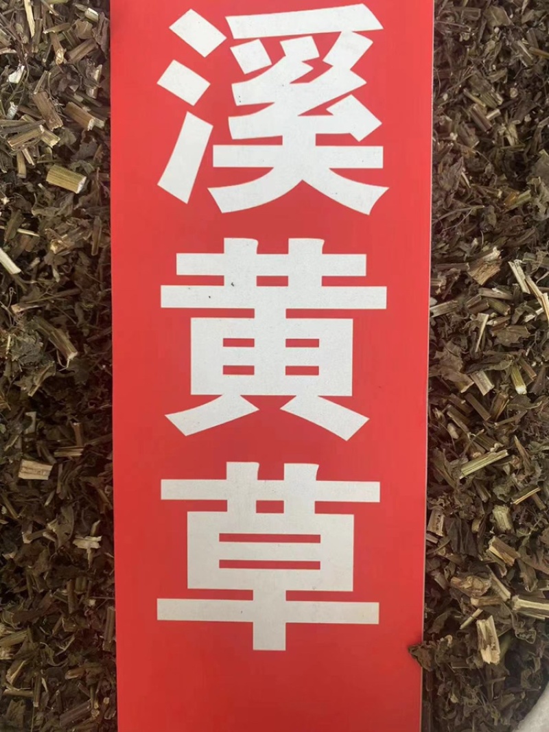 溪黄草中药材批发风血草黄汁草溪沟草溪黄草粉代客磨粉