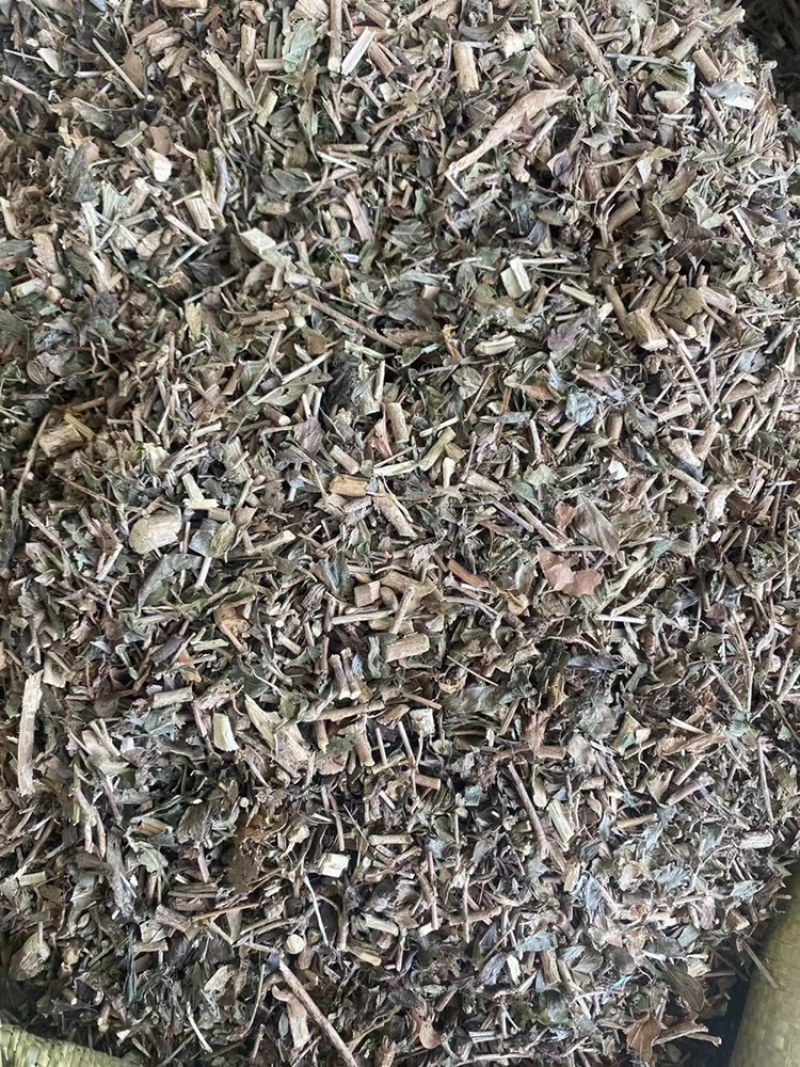 六月雪中药材满天星白马骨碎叶冬青六月雪粉代客磨粉