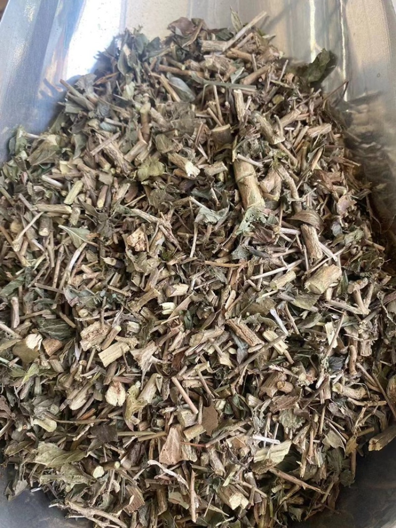 六月雪中药材满天星白马骨碎叶冬青六月雪粉代客磨粉