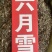 六月雪中药材满天星白马骨碎叶冬青六月雪粉代客磨粉