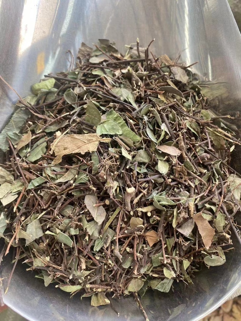 络石藤野生中药材石鲮明石悬石云珠络石藤粉免费代客磨粉