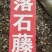 络石藤野生中药材石鲮明石悬石云珠络石藤粉免费代客磨粉