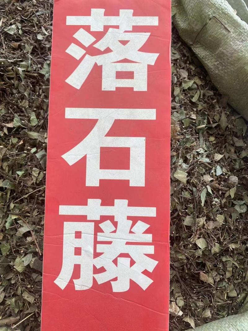 络石藤野生中药材石鲮明石悬石云珠络石藤粉免费代客磨粉