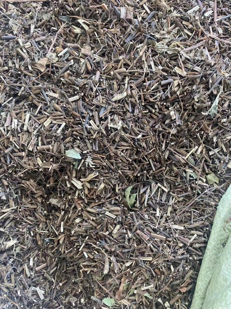 刘寄奴野生中药材南刘寄奴阴行草刘寄奴粉免费代客磨粉