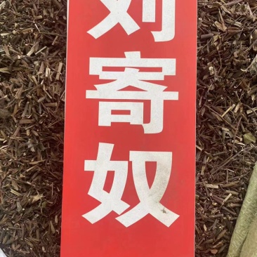 刘寄奴野生中药材南刘寄奴阴行草刘寄奴粉免费代客磨粉