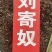 刘寄奴野生中药材南刘寄奴阴行草刘寄奴粉免费代客磨粉