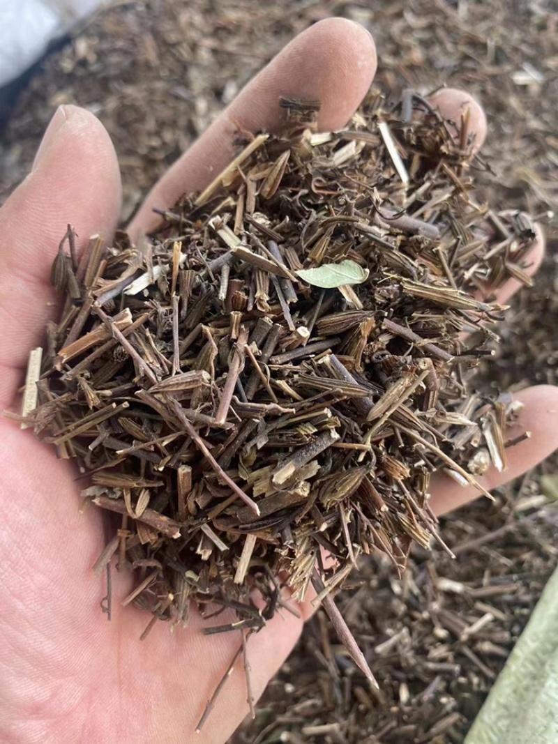 刘寄奴野生中药材南刘寄奴阴行草刘寄奴粉免费代客磨粉