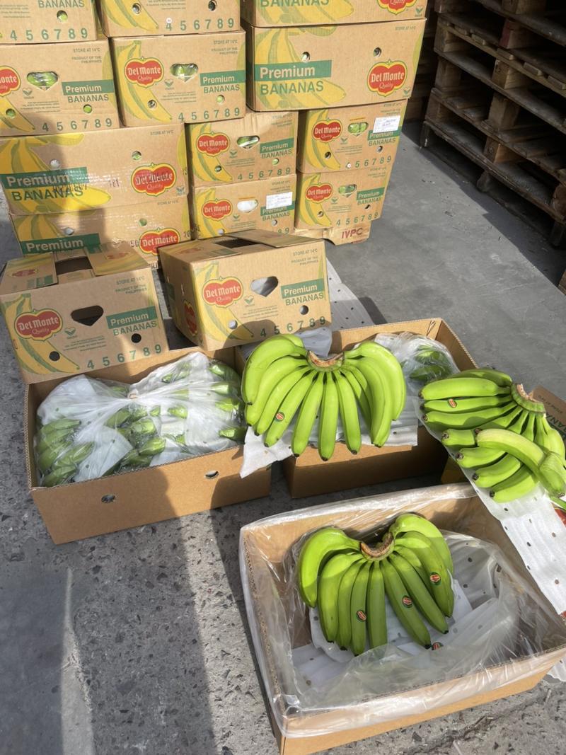 本公司常年大量供应。进口香蕉，菲律宾，印尼，越南，南美，