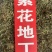 紫花地丁野生中药材野堇菜光瓣堇菜紫花地丁粉代客磨粉