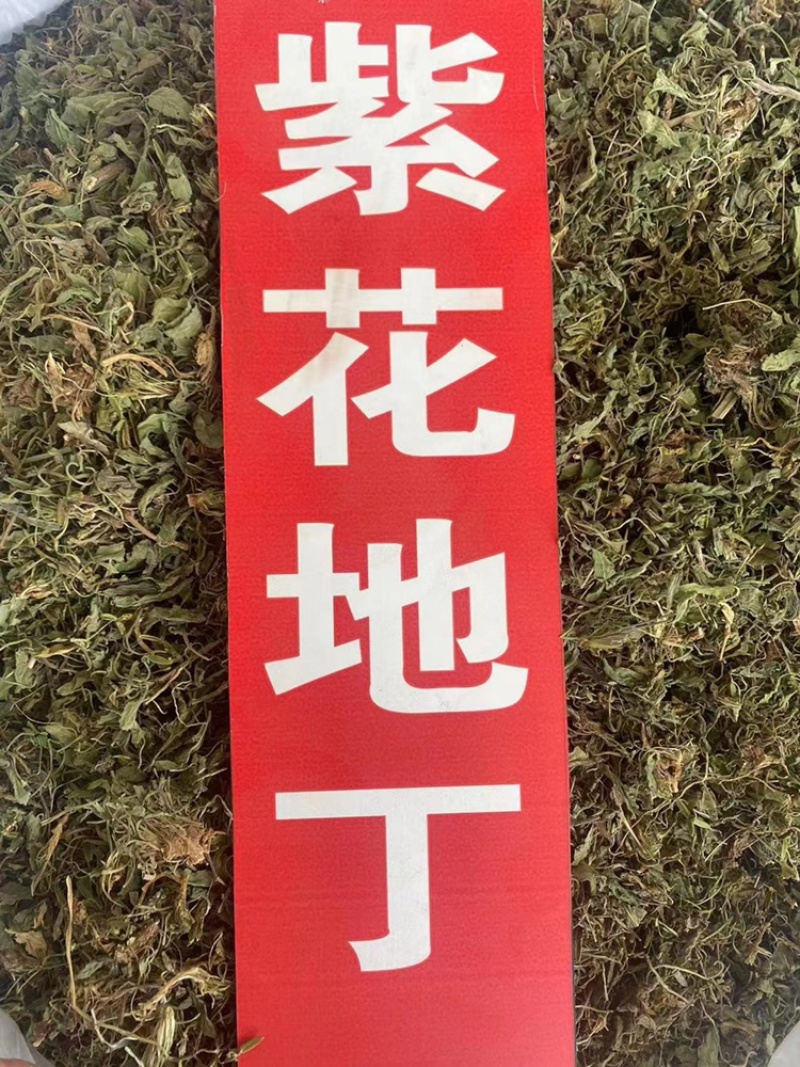 紫花地丁野生中药材野堇菜光瓣堇菜紫花地丁粉代客磨粉