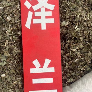 泽兰野生中药材批发价地瓜苗地笋甘露子泽兰粉免费代客磨粉