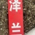 泽兰野生中药材批发价地瓜苗地笋甘露子泽兰粉免费代客磨粉