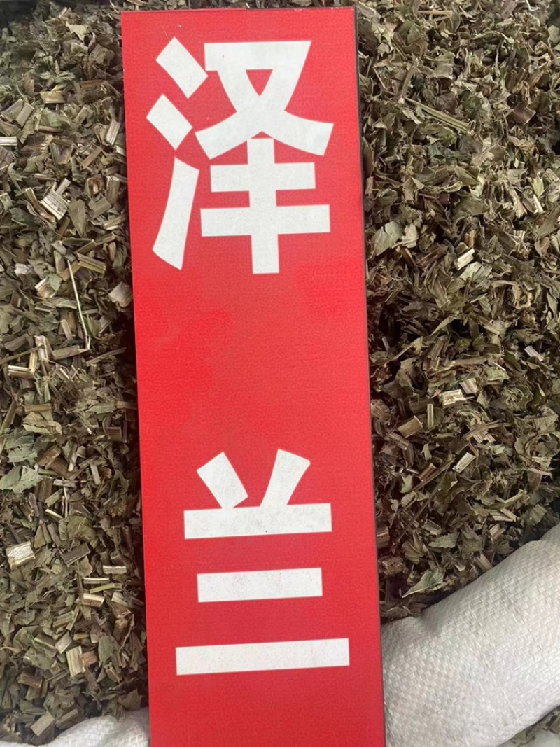泽兰野生中药材批发价地瓜苗地笋甘露子泽兰粉免费代客磨粉