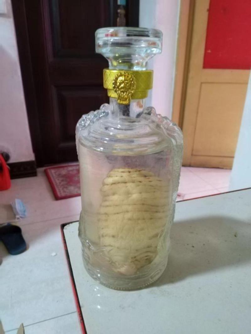 野生天麻酒