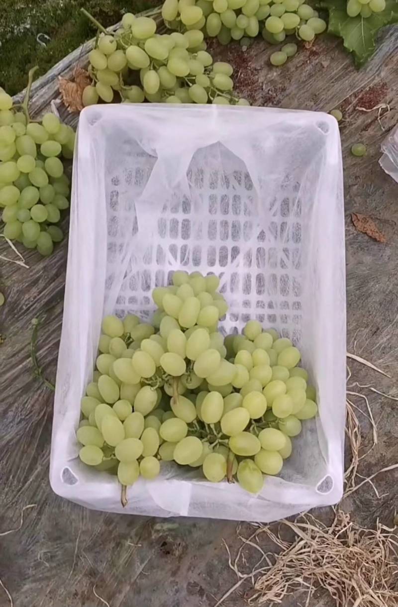 无纺布筐衬
