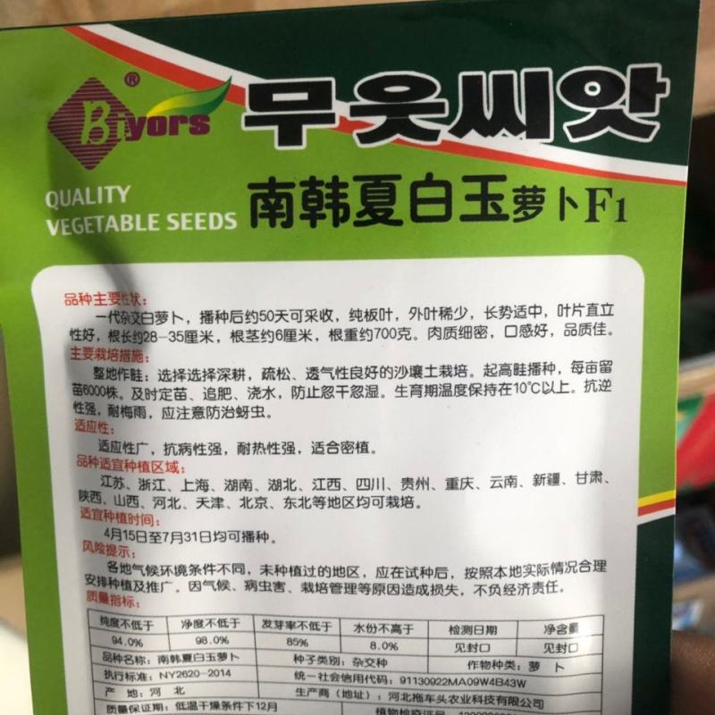 南韩夏白玉萝卜种子，耐热50天