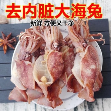去内脏海兔干500g新鲜乌贼笔管鱼海兔子干货