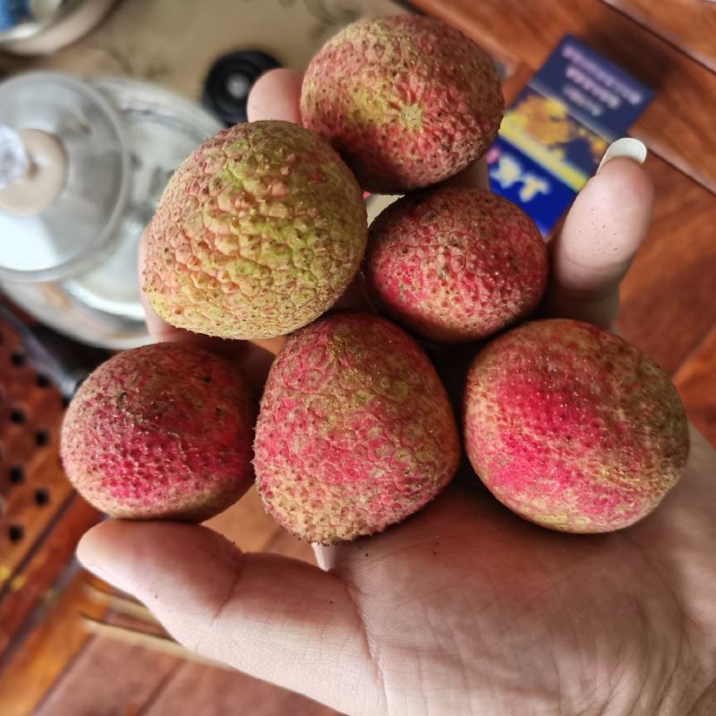荔枝荔枝灵山荔枝