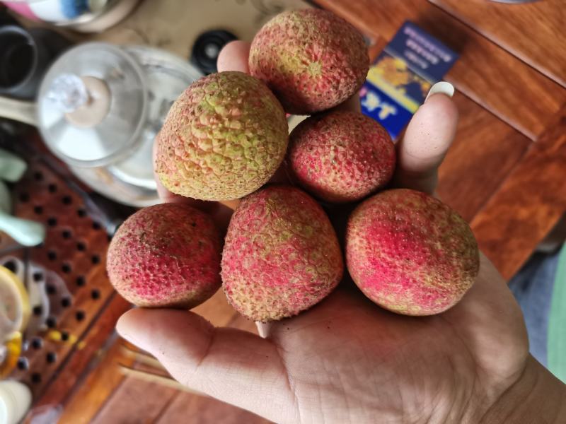 荔枝荔枝灵山荔枝