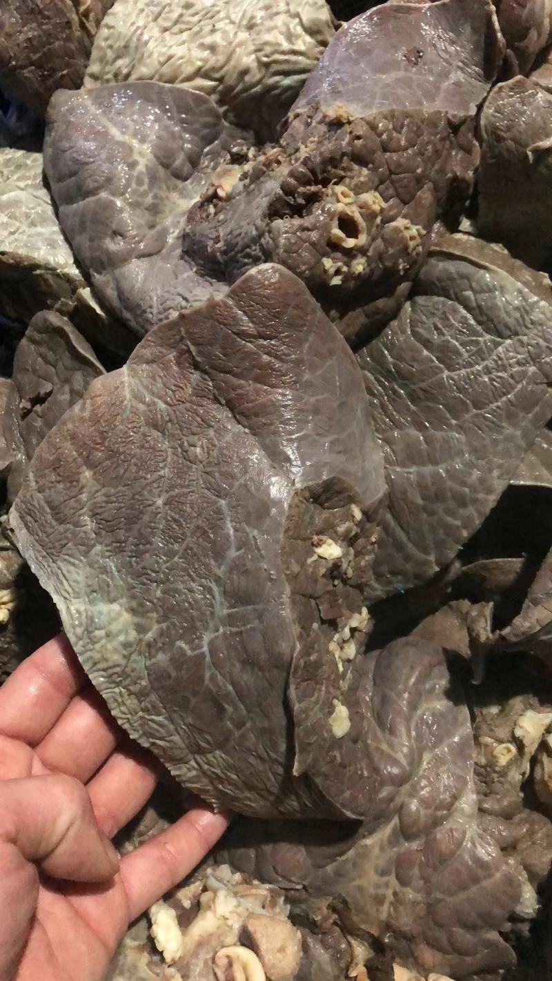 广东汕头熟牛肺冷冻包装低温快递送货保质期6至12月