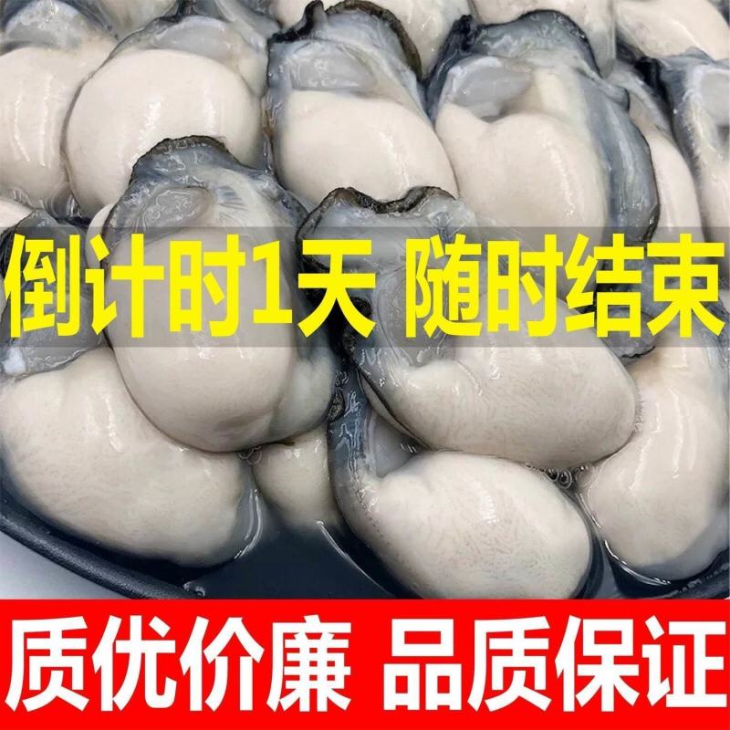 【高品质】新鲜生蚝肉鲜活现剥去壳海鲜即食原浆海蛎子牡蛎肉